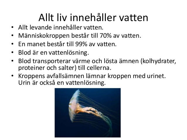 vad finns i vatten vad finns i vatten